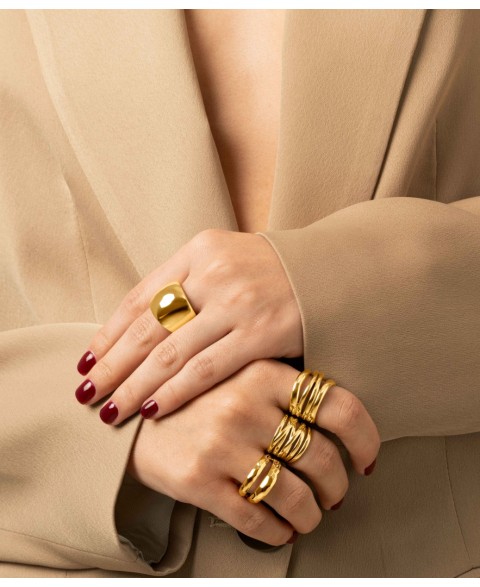 Anillo Odilia Acero Chapado...